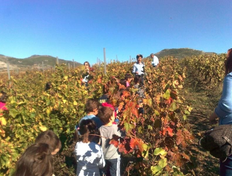 children walking single file at Tzivani Bio Wines vineyards